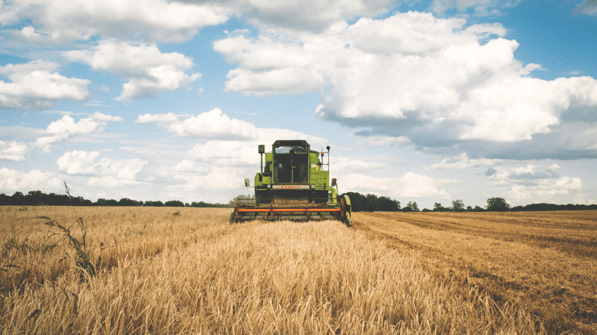 DOSSIER OMONDO  1 : L'AGRO-RÉVOLUTION OU LA FAMINE : LE DÉFI DE LA SOUVERAINETÉ ALIMENTAIRE EN 2026
