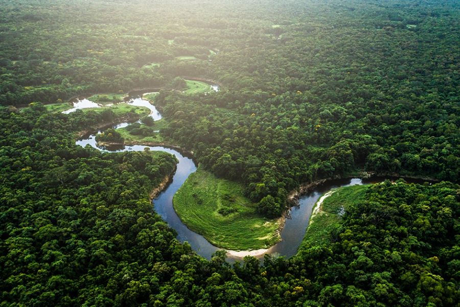 Environnement - Brésil : La rue vers le profit continue au détriment de la forêt