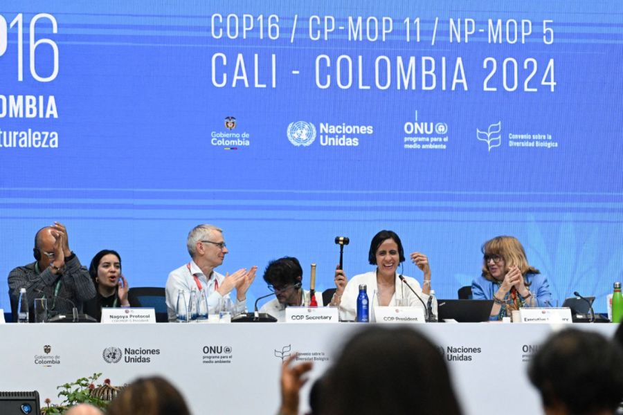 Échec des négociations climatiques à la COP16 - Analyse approfondie et conséquences globales