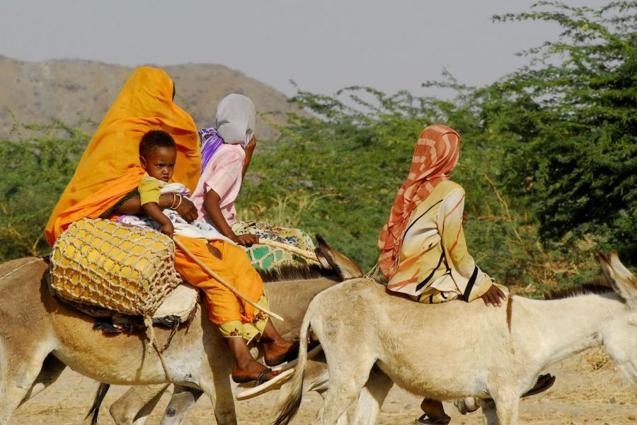 Omondo Voyages et découvertes - Érythrée, Merveilles et  Couleurs