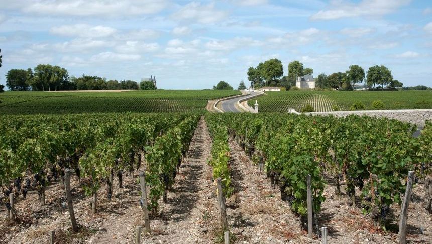 Crise Agricole et Viticole en Gironde