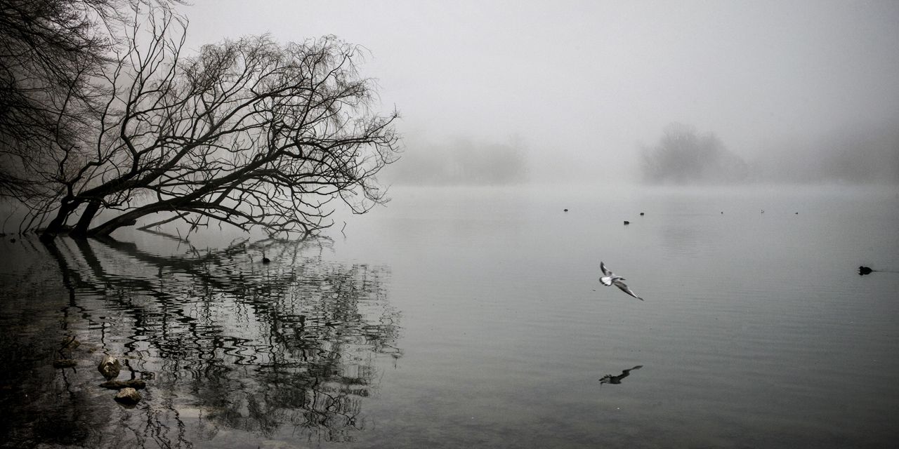 OMONDO MÉTÉO - Prévisions du mardi 3 décembre : grisaille généralisée sur la France