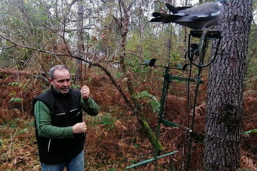 «Un savoir-faire régional et une culture menacée par l’Europe» : en Gironde, un recours de la commission européenne inquiète les amateurs de chasse à la palombe