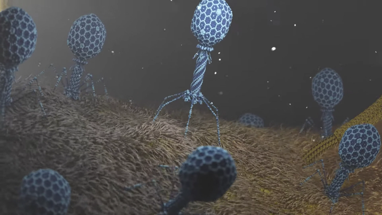 États-Unis : alerte sanitaire, forte augmentation des bactéries « cauchemardesques » résistances aux antibiotiques