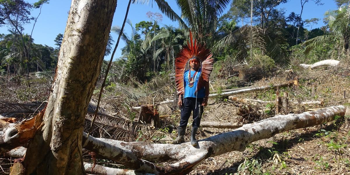 Les peuples autochtones unis contre un projet minier géant au Brésil, défense cruciale de la forêt et des droits ancestraux
