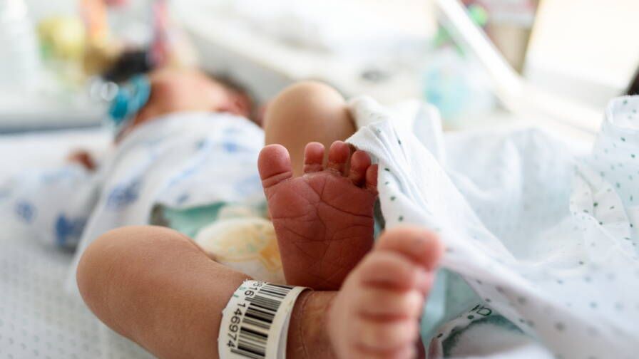 les taux de fécondité et de natalité en hausse en 2024, après des années de recul