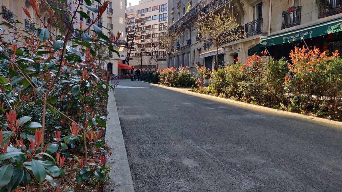 Paris vote pour la piétonnisation et la végétalisation de 500 nouvelles rues
