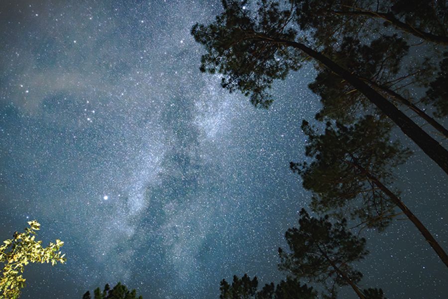 Le parc des Landes de Gascogne devient une « Réserve Internationale de ciel étoilé »