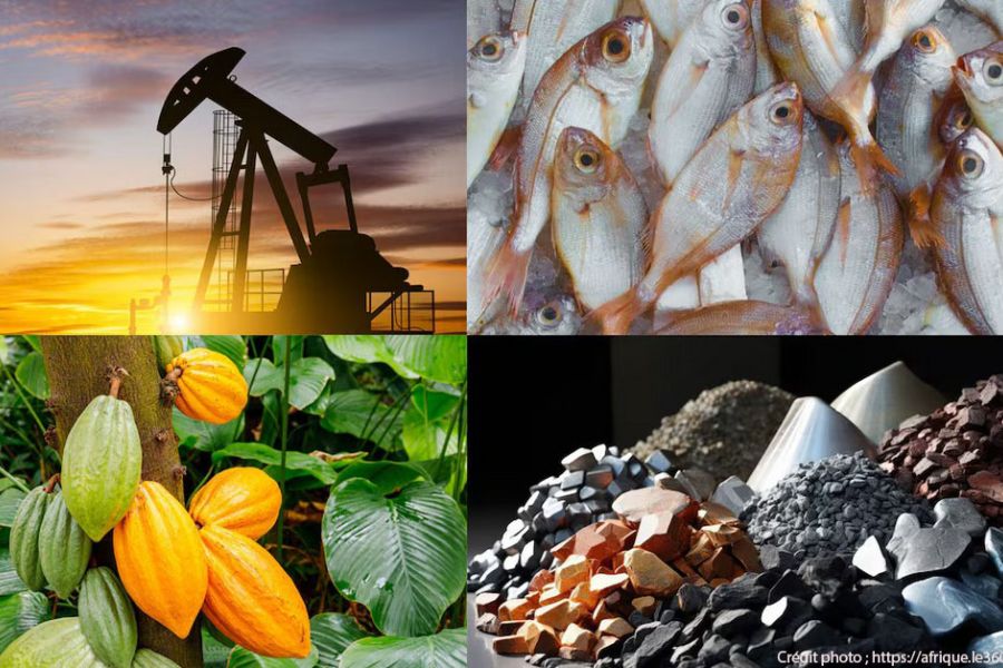 Pétrole, Engrais et Verre : L'effondrement silencieux de la chaîne alimentaire mondiale – Le cri d'alarme de PEE-VALIS.