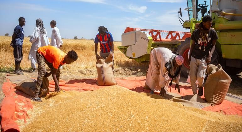 Le Soudan Face au Chaos : L'Appel Déchirant de l'ONU Contre la Famine Instrumentalisée