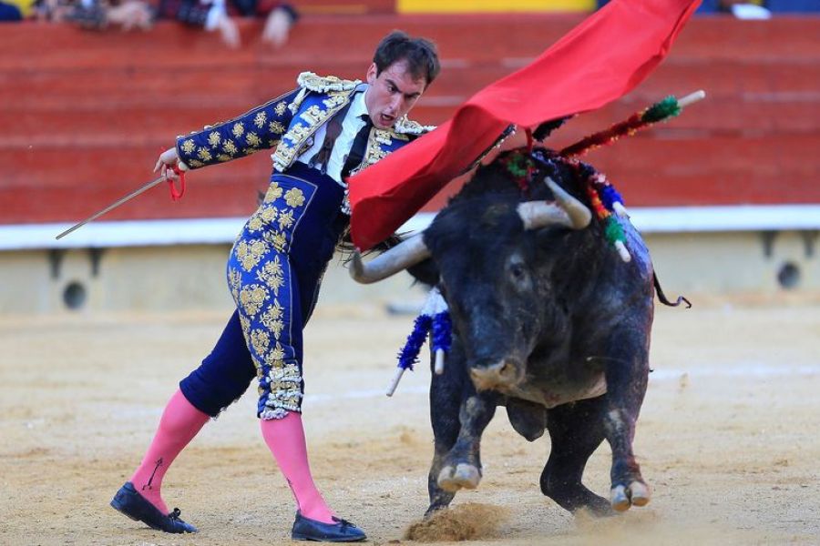 Mexico interdit les corridas avec mise à mort, un débat entre tradition et bien-être animal