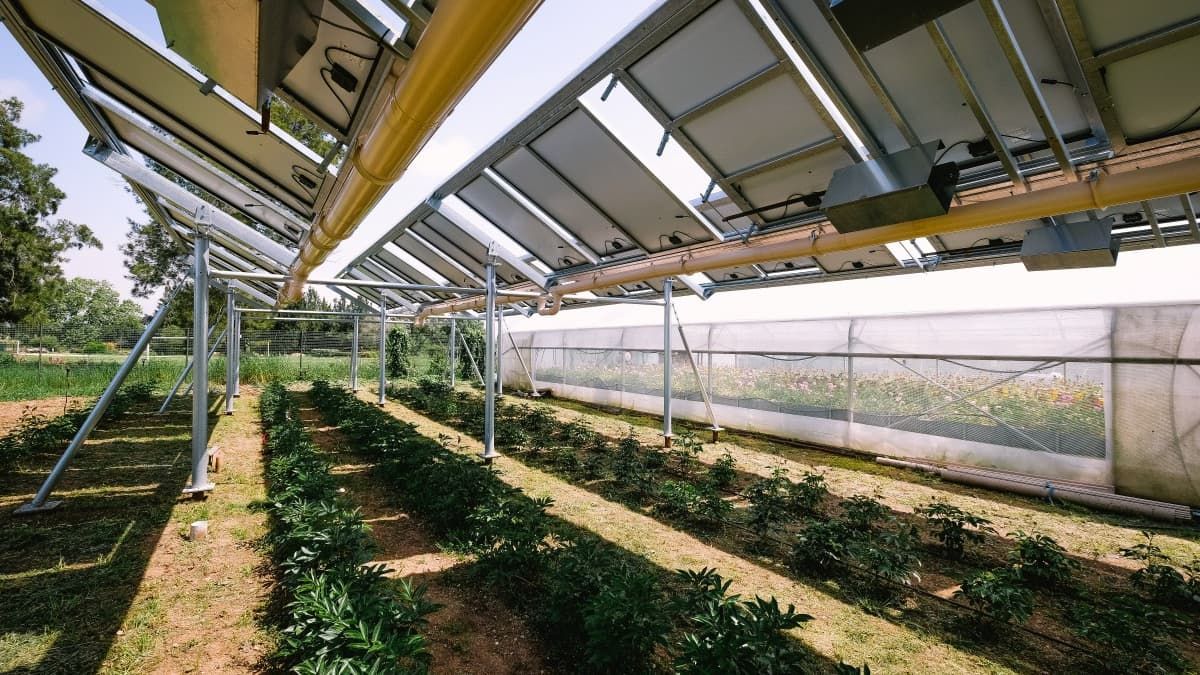 Agriculture de Précision et Innovation : Comment les Nouvelles Technologies Sauvent les Récoltes Face à la Sécheresse