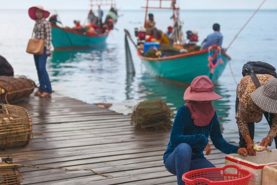 Biodiversité Marine : L'Accord des Nations Unies Face aux Défis de la Pêche Illégale