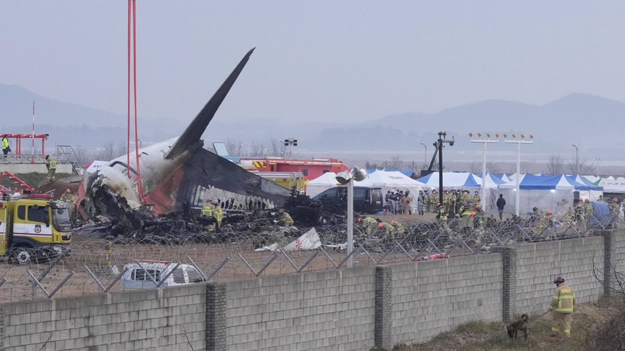 Crash en Corée du Sud : Le Boeing 737-800 avait effectué 13 vols en 48 heures
