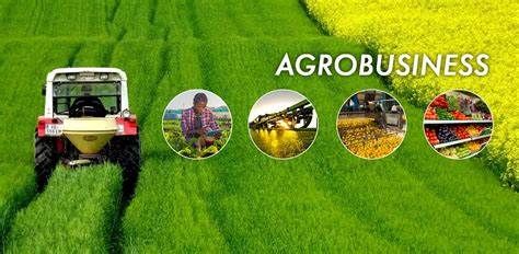 L'agriculture argentine a connu une profonde révolution technologique et agro-industrielle au cours des dernières décennies, entraînant d'importants impacts territoriaux et sociaux. Cette transformation est caractérisée par l'essor de l'agrobusiness et une réorganisation majeure du secteur agricole. Révolution technologique et nouveau paradigme productif L'agriculture argentine a connu une véritable révolution technologique, marquée par : •	L'adoption massive des OGM, notamment le soja transgénique résistant au glyphosate •	La généralisation du semis direct, permettant une meilleure conservation des sols •	L'utilisation accrue d'intrants (pesticides, fertilisants) et la mécanisation poussée Ces innovations ont conduit à une augmentation spectaculaire des rendements et de la production, faisant de l'Argentine un acteur majeur sur les marchés agricoles mondiaux. Transformation agro-industrielle Le secteur agricole argentin s'est profondément restructuré autour du modèle de l'agrobusiness : •	Verticalisation de la production et externalisation de nombreuses activités •	Émergence de nouveaux acteurs : entreprises agricoles, prestataires de services, fournisseurs d'intrants •	Dissociation entre la propriété foncière et l'exploitation agricole •	Développement de l'agriculture contractuelle et des pools de semis Cette réorganisation a favorisé la concentration des terres et l'industrialisation de l'agriculture. Impacts territoriaux et sociaux Les transformations du secteur agricole ont eu des répercussions majeures sur les territoires ruraux argentins : •	Expansion de la frontière agricole, notamment dans le nord du pays, au détriment des écosystèmes naturels •	Déplacement des petits producteurs et de l'agriculture familiale •	Dépopulation rurale et concentration urbaine •	Modification des paysages avec la prédominance des monocultures intensives •	Impacts environnementaux : déforestation, perte de biodiversité, pollution des sols et des eaux Enjeux et défis Cette révolution agricole soulève de nombreux défis pour l'Argentine : •	Durabilité environnementale face à l'intensification des pratiques •	Préservation de l'agriculture familiale et des communautés rurales •	Dépendance accrue aux marchés internationaux et aux fluctuations des cours des matières premières •	Nécessité de diversifier la production agricole au-delà du modèle soja-centré L'avenir de l'agriculture argentine se jouera dans sa capacité à concilier performance économique, durabilité environnementale et équité sociale, tout en préservant la diversité des modèles agricoles.