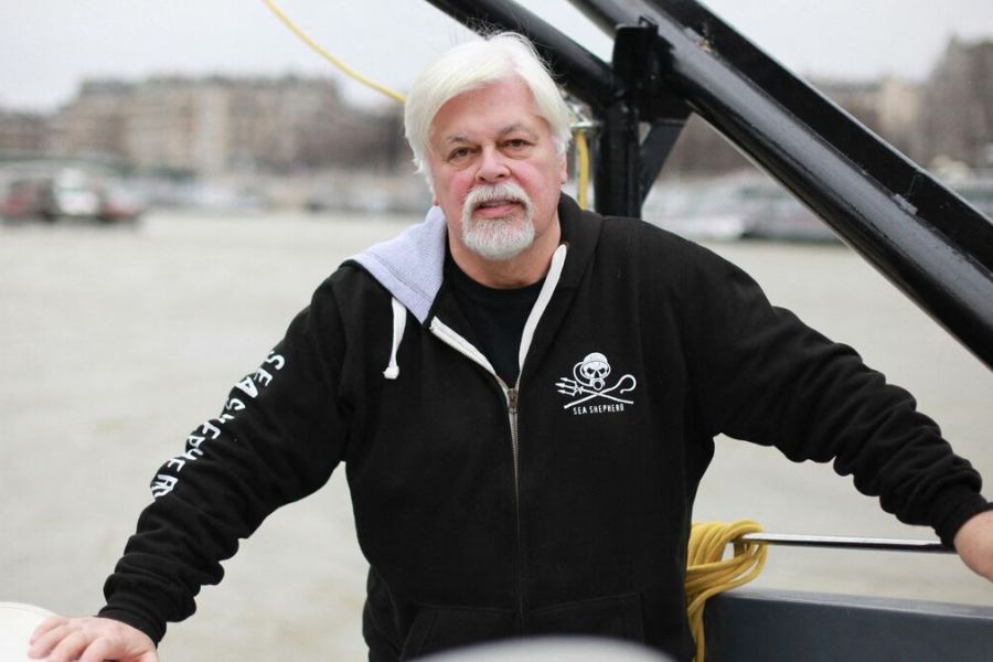 Paul Watson retourne en France après cinq mois de détention au Danemark : portrait d’un militant écologiste controversé