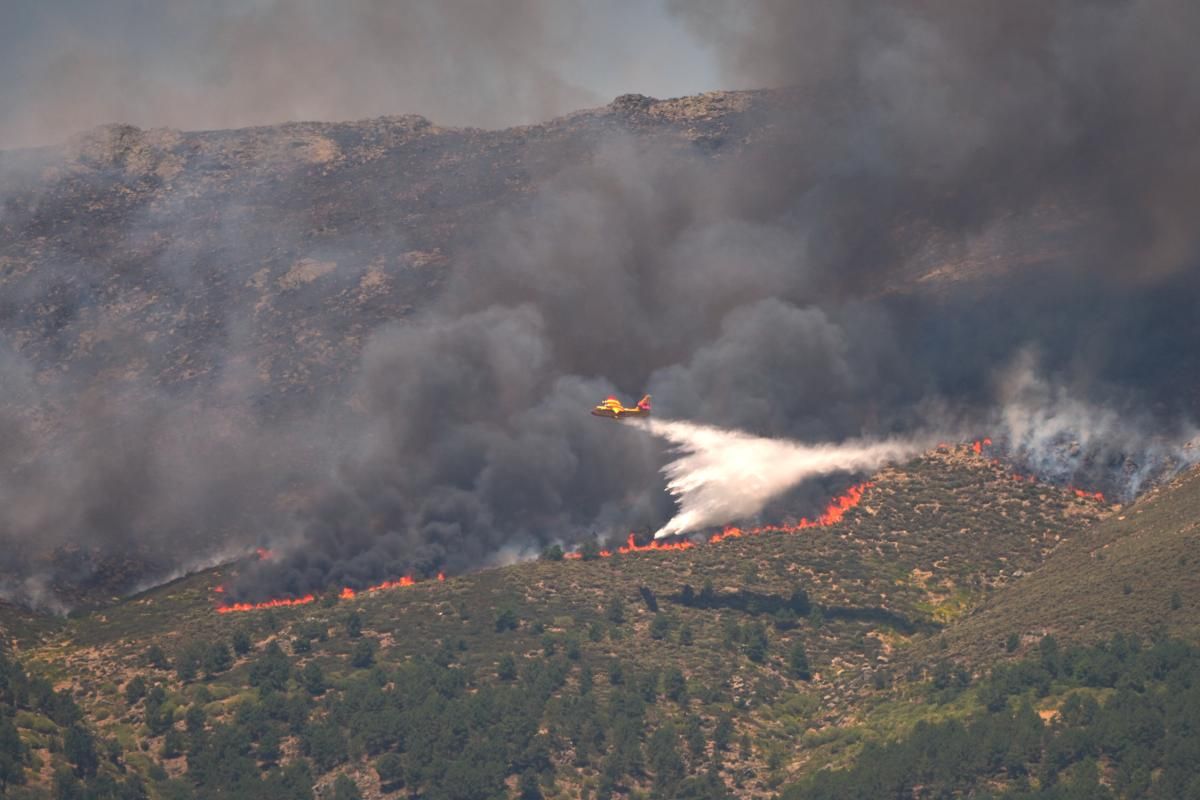 Incendies ravageurs dans le sud et le centre de l'Europe : la Belgique et le bassin méditerranéen en état d'urgence écologique