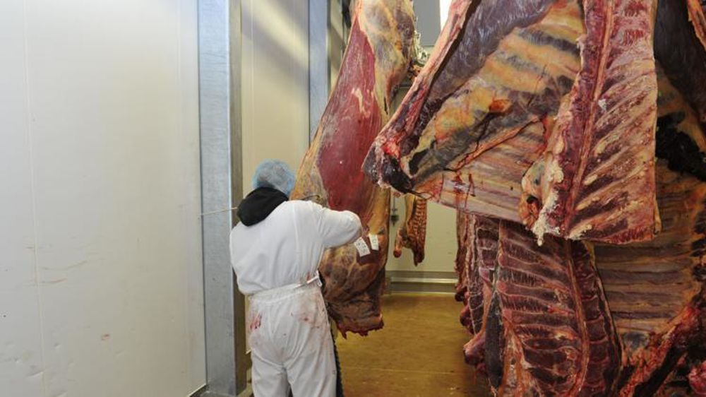 Agriculture 2026 : Grenoble, Berceau de la « Viande de Culture » à la Française