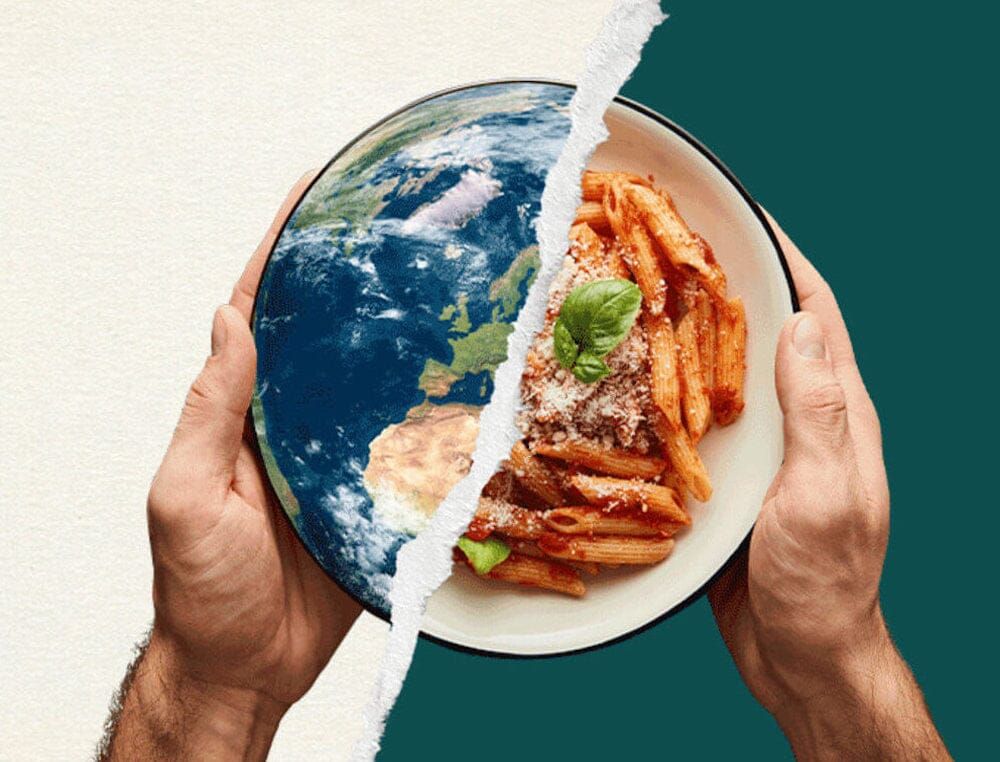 Too Good To Go, l’anti-gaspi qui a sauvé 500 millions de repas – Un modèle mondial contre le gaspillage alimentaire