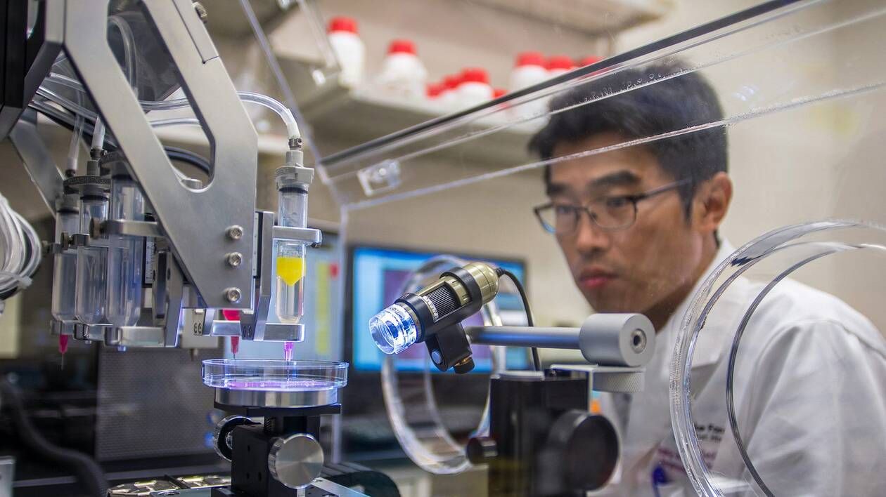 Des chercheurs de l'Université de Wake Forest ont réussi à imprimer en 3D un rein fonctionnel, marquant une avancée majeure dans le domaine de la médecine régénérative.