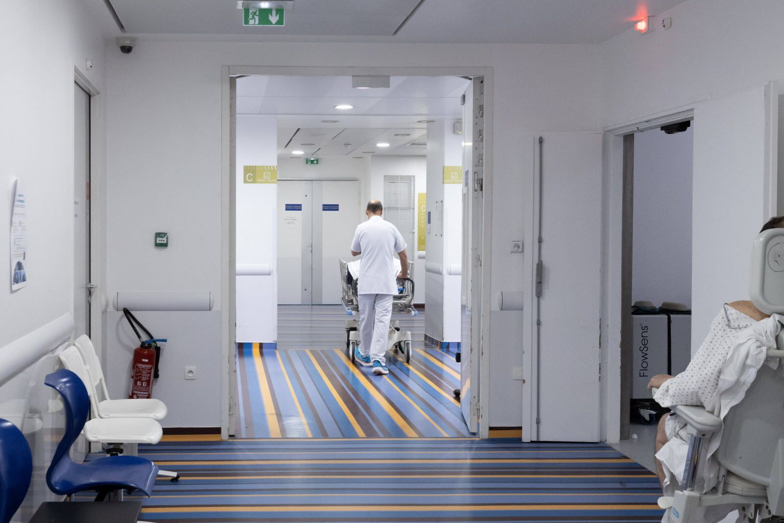 La Réunion : Le Plan Blanc Déclenché Contre l'Épidémie de Chikungunya : Un Système de Santé Sous Tension Face à une Crise Sanitaire Majeure