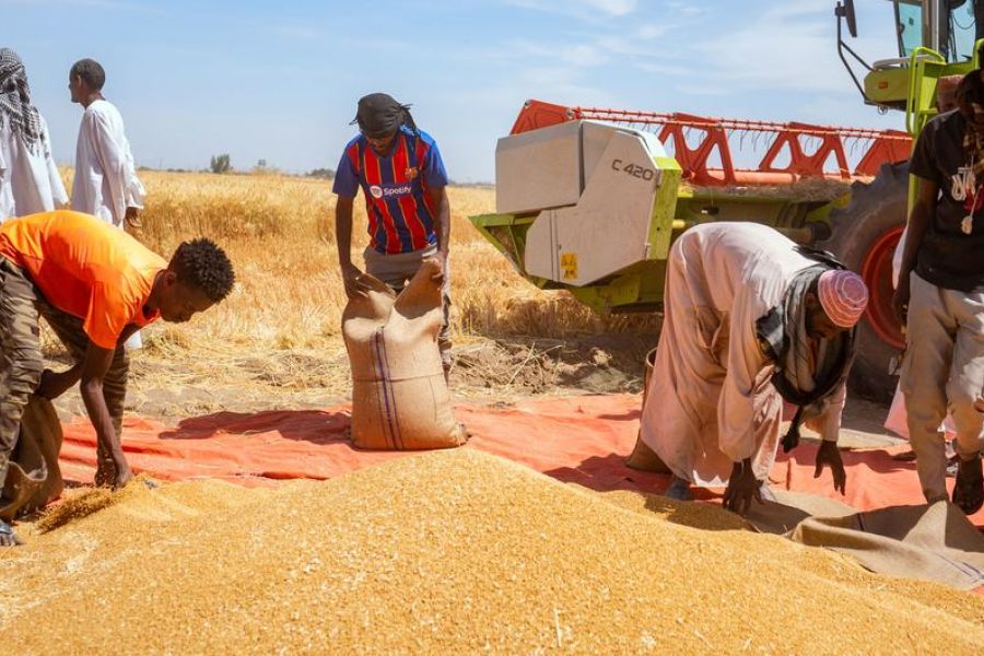 OMONDO ÉCONOMIE - Crise alimentaire mondiale : l'ONU avertit d'une situation alarmante