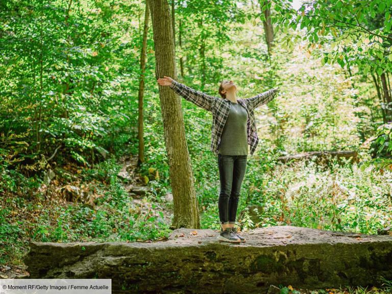 Même en images, la vue de la nature réduit bien la sensation de douleur