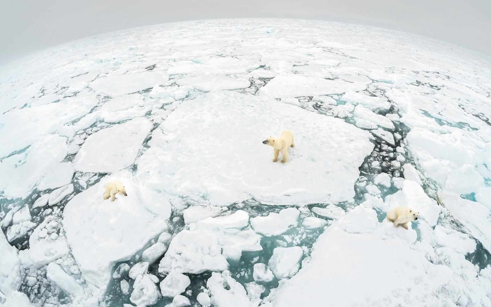 Réchauffement climatique et fonte des calottes glaciaires : Les projections alarmantes des climatologues pour l'horizon 2030