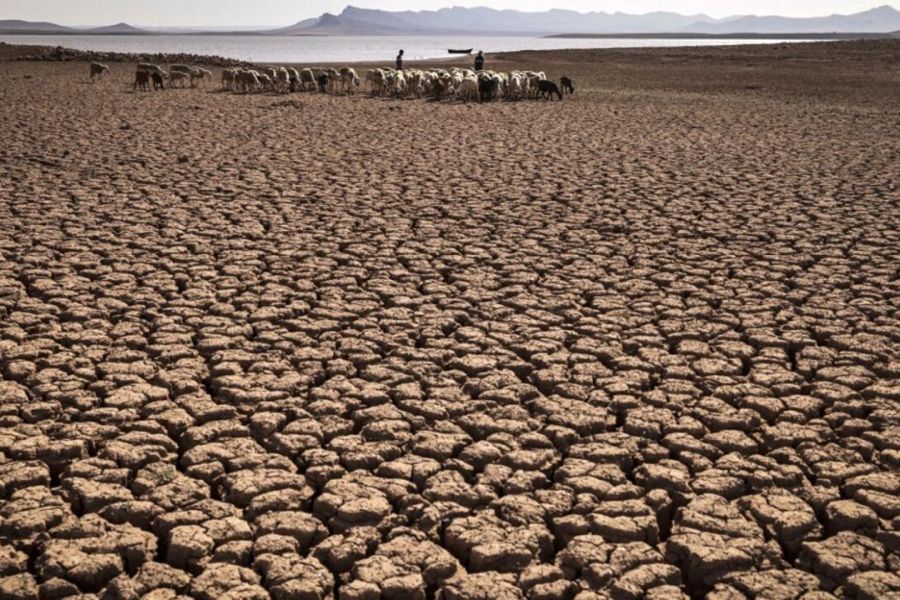Sécheresses et Crise de l’Eau : Le WWF Alerte sur notre Consommation Invisible