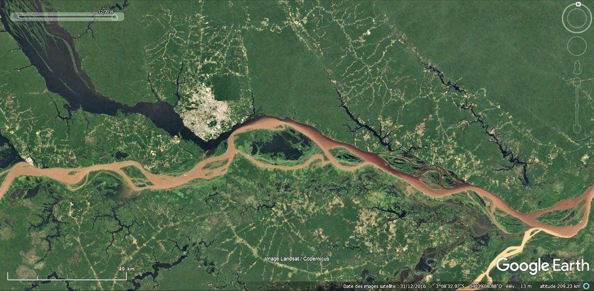 Le Poumon de l’Humanité Respire : Le Bilan Radical du Plan Amazonie d’El Globo