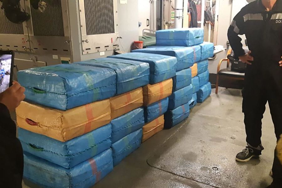 Saisie record de pollen de cannabis, la France face à la mutation du trafic