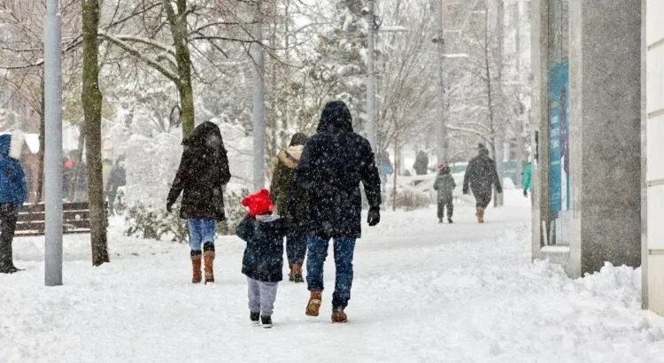 Vortex Polaire 2026 : L'Europe se prépare à une vague de froid extrême et des coupures d'électricité