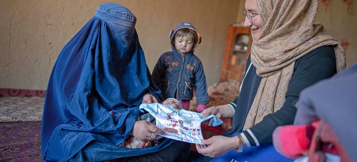 Afghanistan : les Talibans célèbrent quatre ans de pouvoir, bilan international et droits des femmes en débat