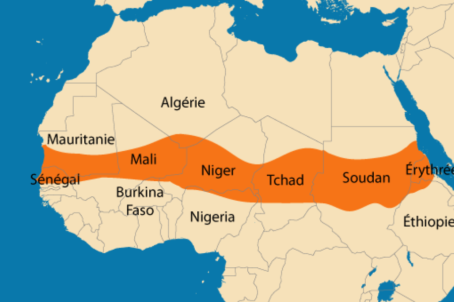 Dossier 2 : Le Sahel, Frontière de l'instabilité : Pourquoi l'Europe paie le prix fort de la crise régionale
