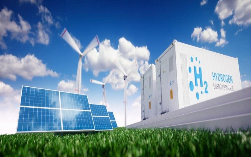 Statistiques Ceviprov : Le Décryptage de la Dre Anna Maertens sur les Tendances 2026