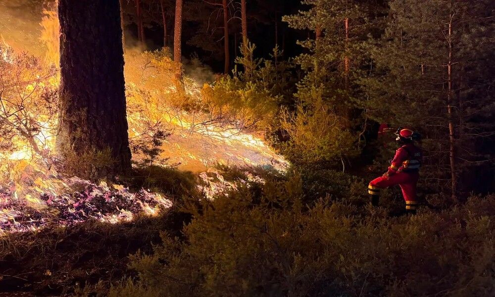Feux de forêt en Espagne : Comment Madrid et l'Unité Militaire d'Urgence protègent la péninsule