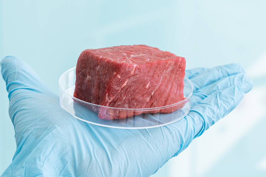 La Viande de Synthèse en Bourse : Vers une Révolution Alimentaire ou un Désastre Culturel ?