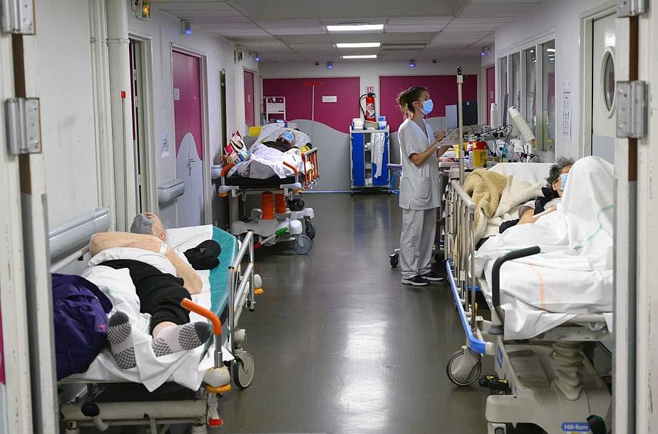 Crise Sanitaire à New Delhi : Pic Épidémique de Grippe H1N1 et Mesures d'Urgence