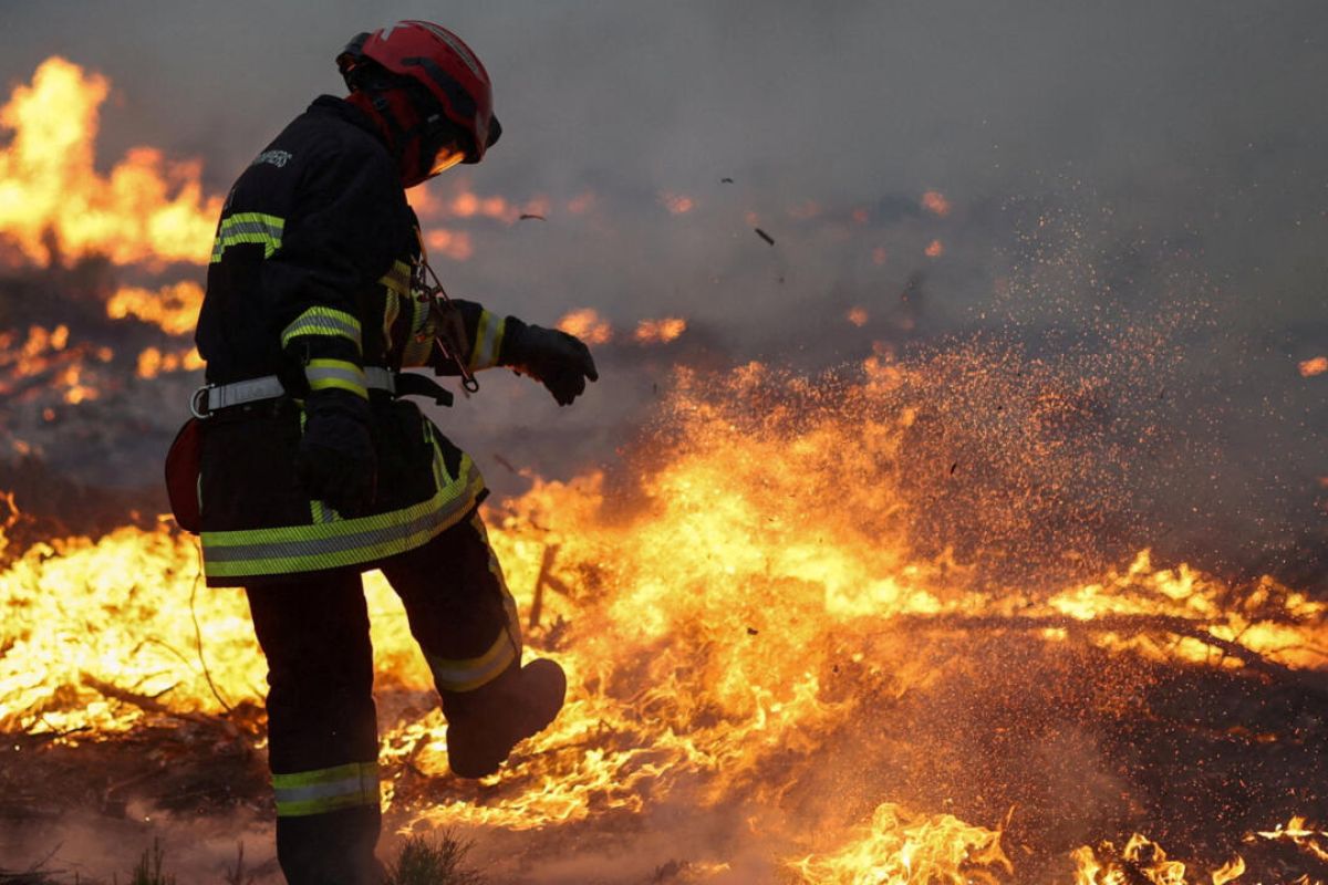 OMONDO.INFO — Grand Dossier d'Actualité : Le Coût du Feu — Incendies en France, Destructions des Écosystèmes et Conséquences Économiques Post-Sinistres