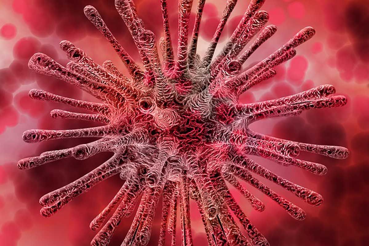 Santé Mondiale : Les Leçons de 2026 pour Prévenir les Pandémies Futures