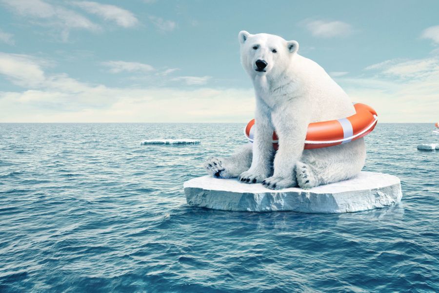 Le changement climatique menace l'Europe : une hausse alarmante des décès liés à la chaleur