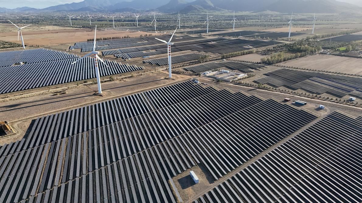 Virage Historique : Les Énergies Renouvelables Dépassent le Charbon et Deviennent la Première Source d'Électricité Mondiale