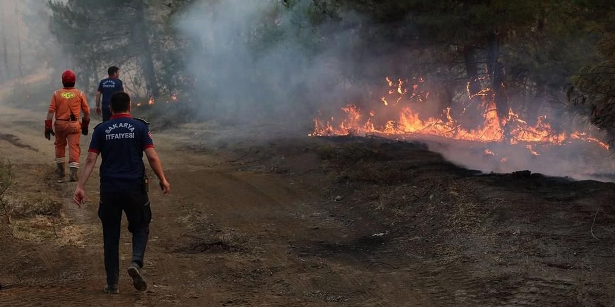 Incendies en Turquie, évacuations massives et gestion de crise