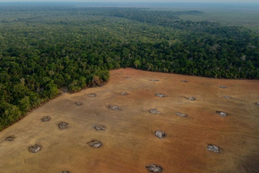 Amazonie : Les chiffres de la déforestation en baisse de 25% sous l'administration Lula : analyse des données satellites de l'INPE