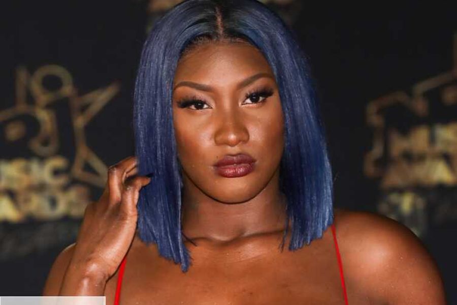 Aya Nakamura au cœur des débats : la France face à ses contradictions