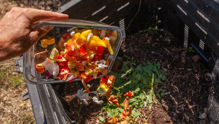 Tous au compost ! : 30 % des déchets ménagers français peuvent être valorisés