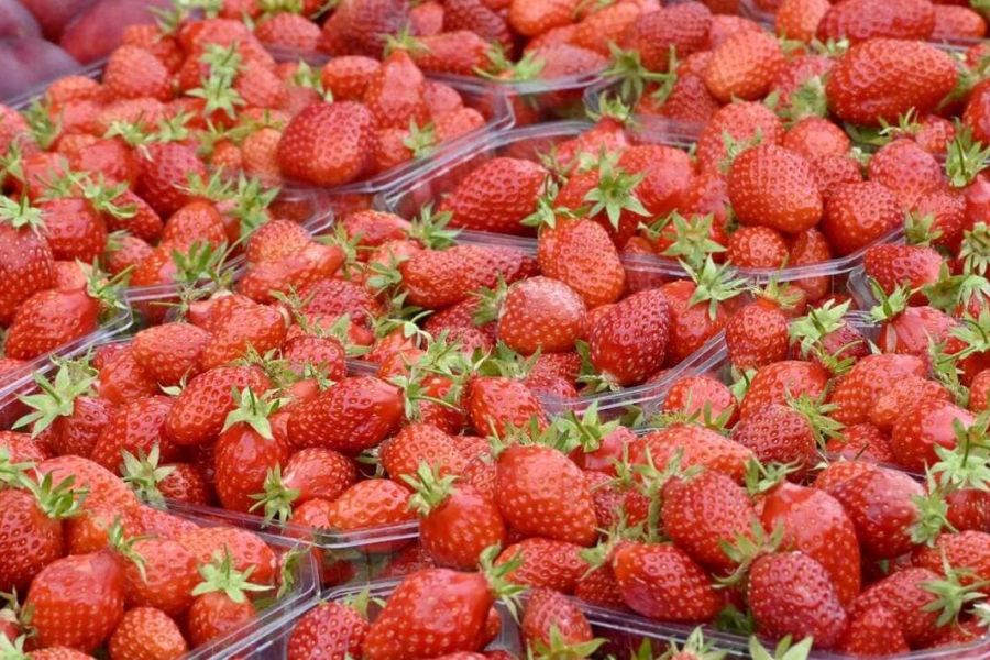 OMONDO ÉCONOMIE - Intermarché renonce aux fraises et cerises hors-saison pour Noël : un virage vers la durabilité