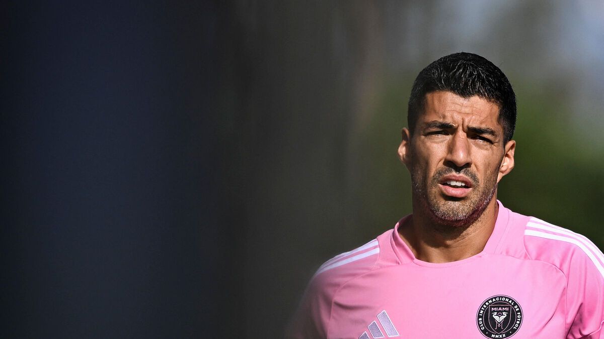 Luis Suarez suspendu six matchs après avoir craché sur un membre du staff adverse