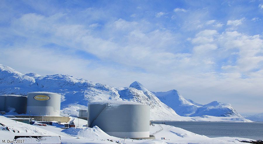 Dossier 1 : Groenland – L’Heure de la Décolonisation Totale ?