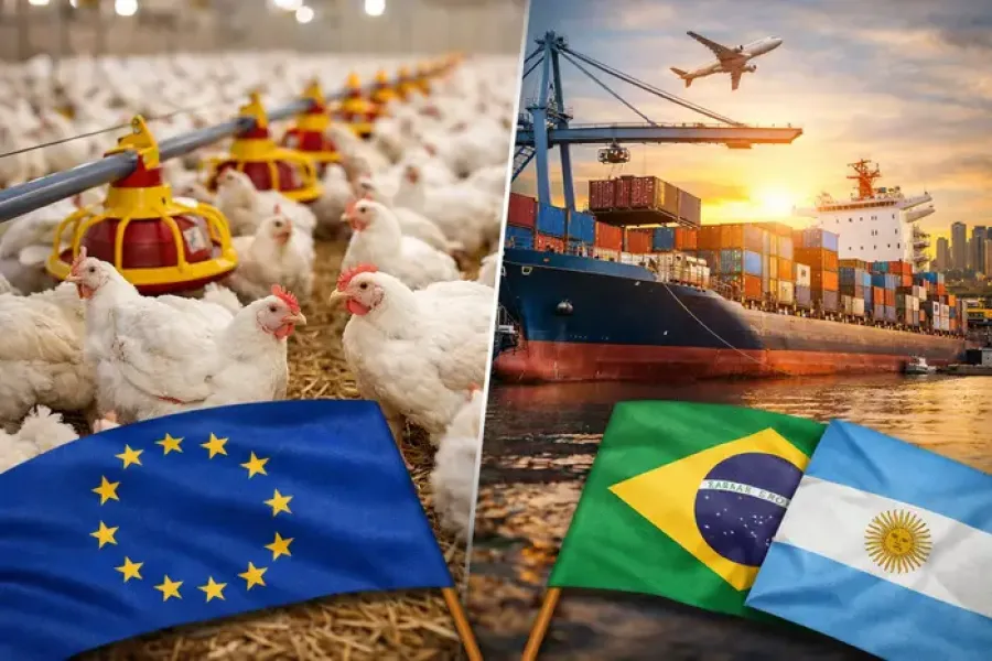 MERCOSUR ET UNION EUROPÉENNE : ACCORDS COMMERCIAUX, PROTECTIONS AGRICOLES ET SOUVERAINETÉ INDUSTRIELLE